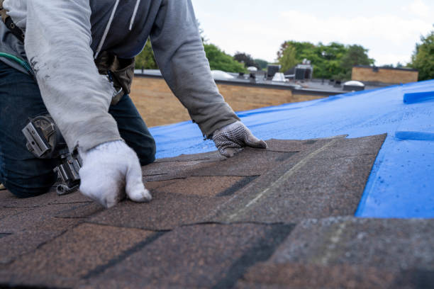 Best Roof Repair Estimates  in Ovid, MI
