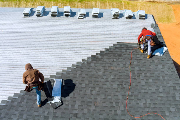 Best Roofing Contractor Near Me  in Ovid, MI