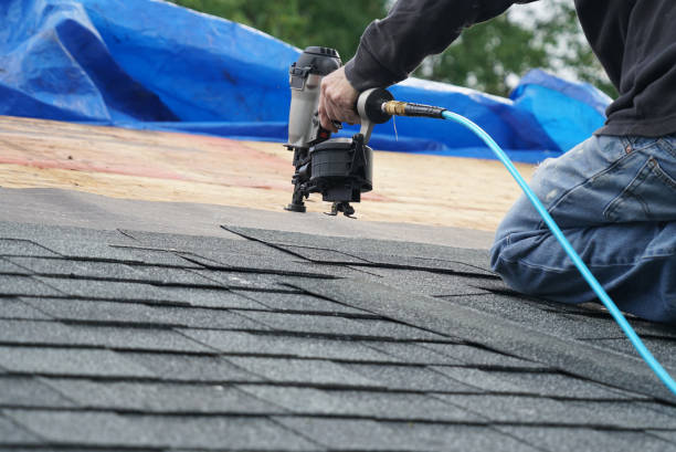 Best Best Roofing Contractors  in Ovid, MI