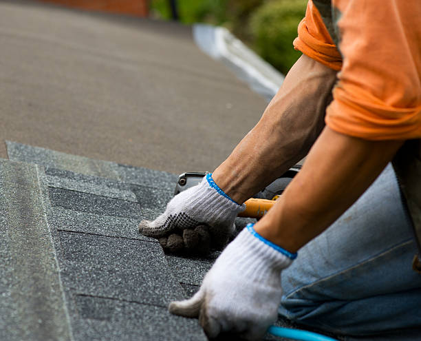 Best Roof Inspection Near Me  in Ovid, MI