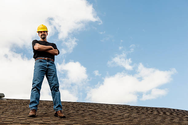 Best New Roof Installation  in Ovid, MI