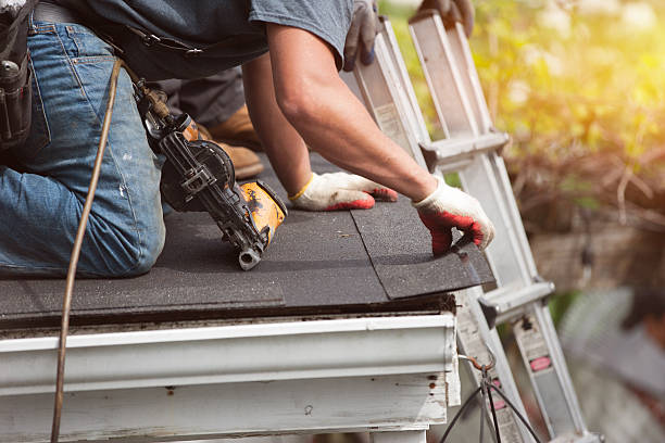 Best Sealant for Roof  in Ovid, MI