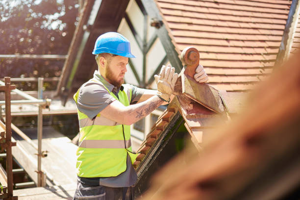 Best Storm Damage Roof Repair  in Ovid, MI
