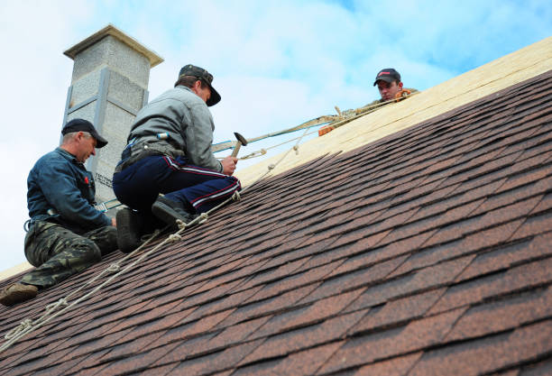 Best Roof Leak Repair  in Ovid, MI